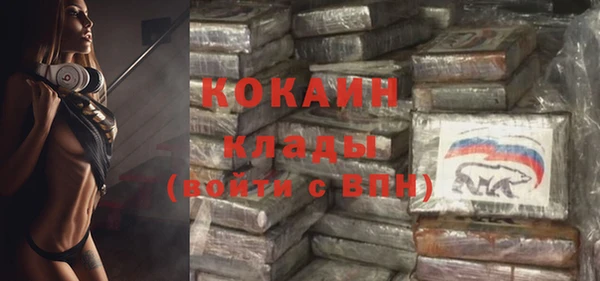 шишки Балахна