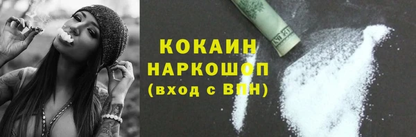 шишки Балахна