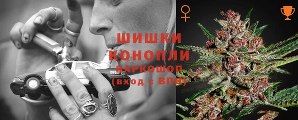 шишки Балахна