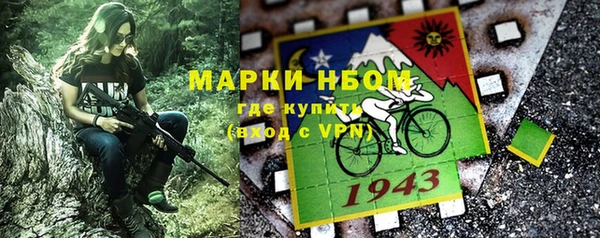 шишки Балахна