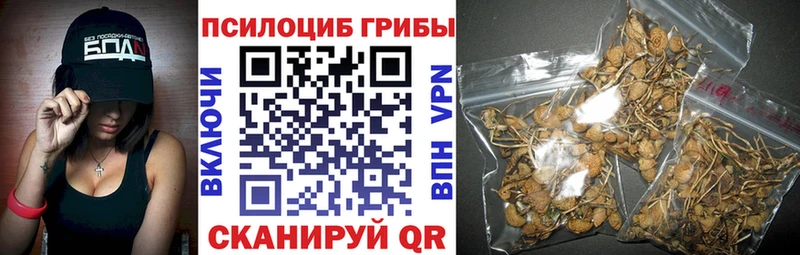 Галлюциногенные грибы ЛСД  цена   Сосновка 